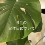秋山木工株式会社　定休日　2026年6月